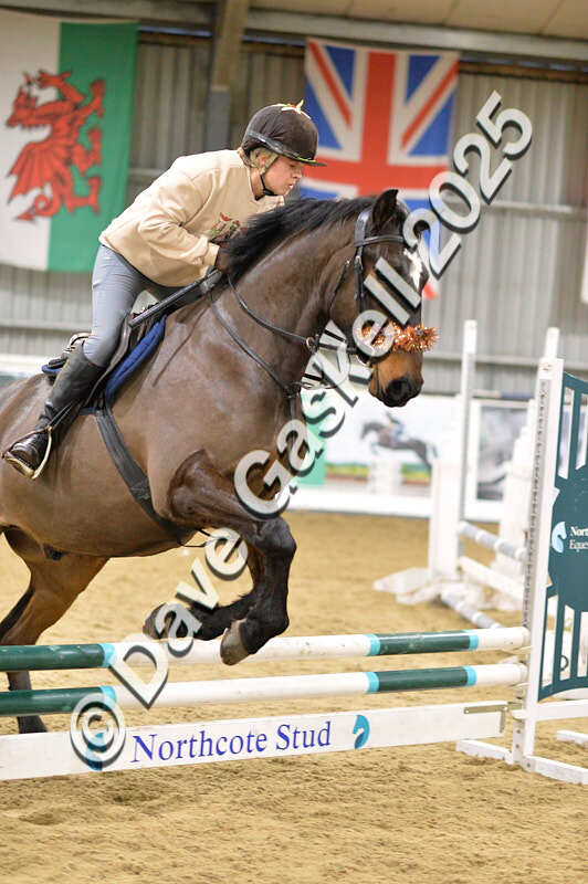 D4N_7148 - NorthcoteSat8thDec'25 XmasShowJumping AvailableUntil6thJan'26
