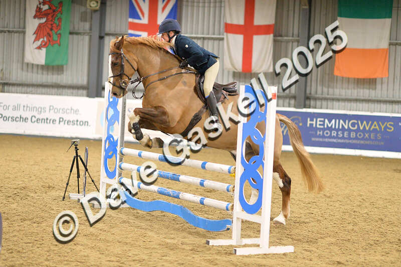 D4N_6370 - NorthcoteSun16thNov'25 Unaff.Jumping AvailableUntil16thDec'25