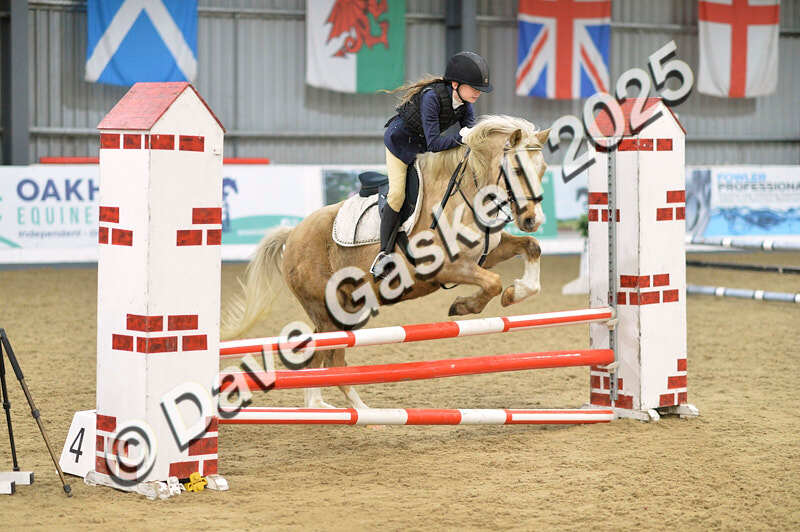 D4N_5714 - NorthcoteSun16thNov'25 Unaff.Jumping AvailableUntil16thDec'25