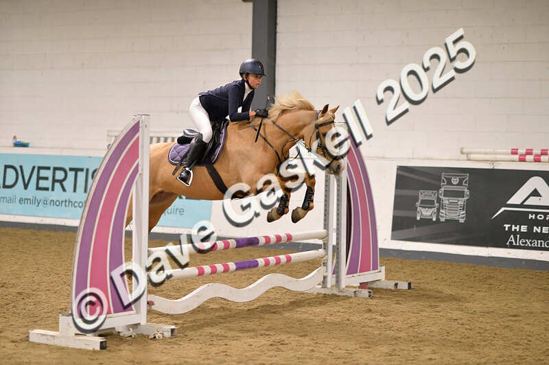 D4N_5071 - NorthcoteSun26thOct'25 Unaff.Jumping AvailableUntil28thNov'25