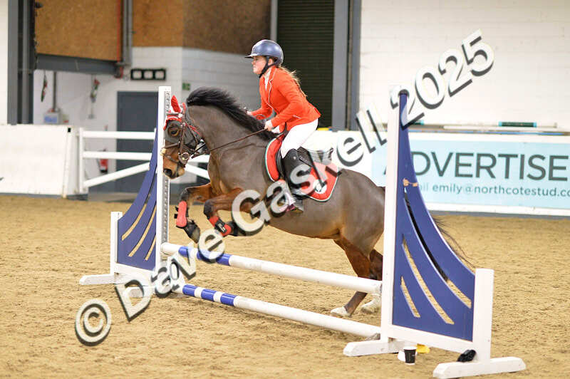 D4N_6695 - NorthcoteSat8thDec'25 XmasShowJumping AvailableUntil6thJan'26