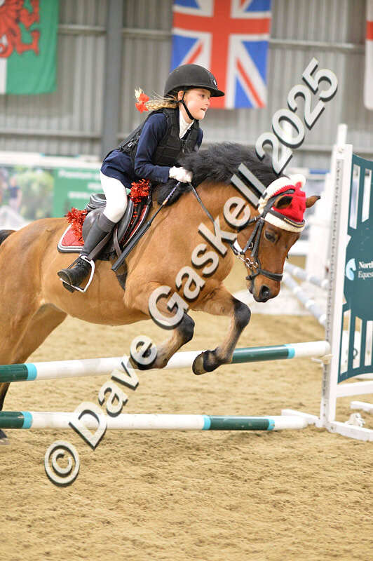 D4N_6783 - NorthcoteSat8thDec'25 XmasShowJumping AvailableUntil6thJan'26