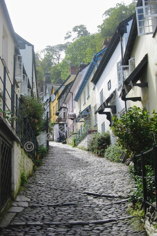 Clovelly Cobbled Street IMG_3534 - Devon inc. Lundy Island