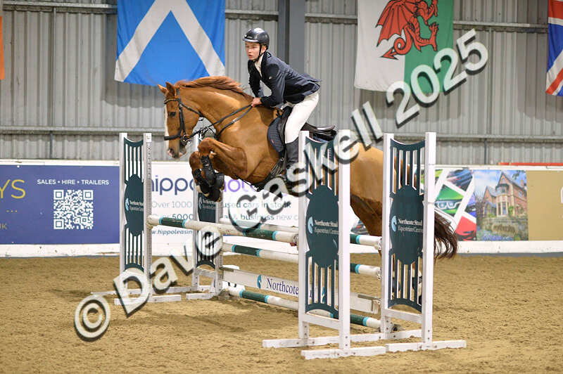 D4N_6476 - NorthcoteSun16thNov'25 Unaff.Jumping AvailableUntil16thDec'25