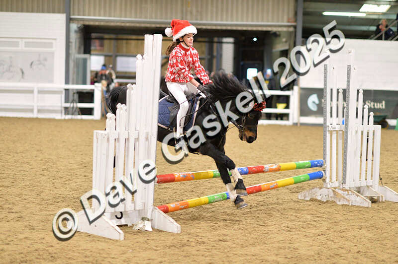 D4N_6758 - NorthcoteSat8thDec'25 XmasShowJumping AvailableUntil6thJan'26