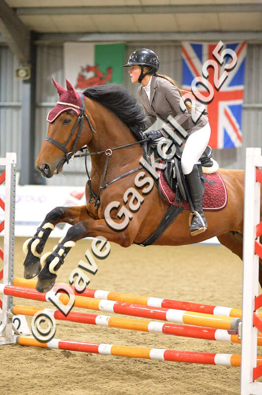 D4N_6187 - NorthcoteSun16thNov'25 Unaff.Jumping AvailableUntil16thDec'25