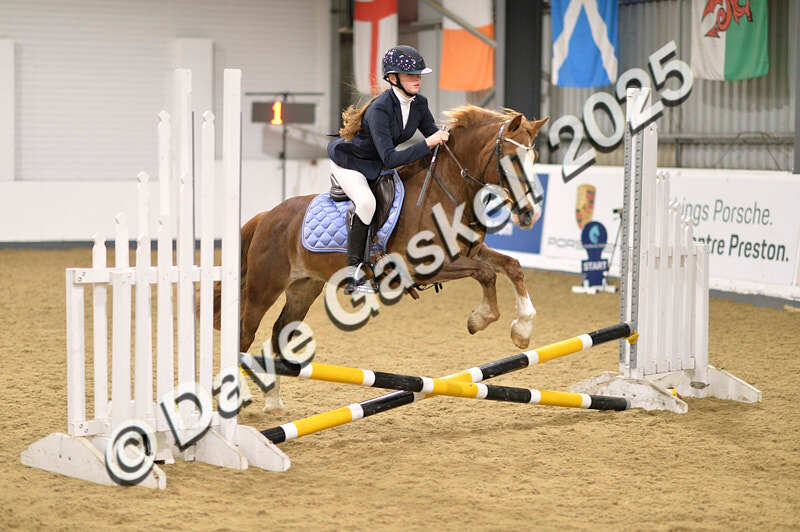 D4N_4750 - NorthcoteSun26thOct'25 Unaff.Jumping AvailableUntil28thNov'25