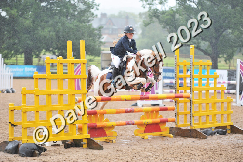 D8D_7399 - Juniors