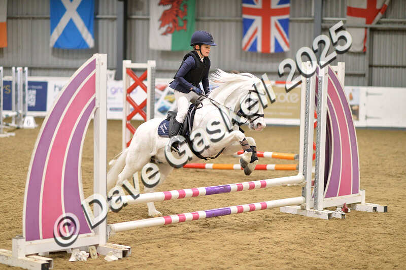 D4N_5550 - NorthcoteSun16thNov'25 Unaff.Jumping AvailableUntil16thDec'25