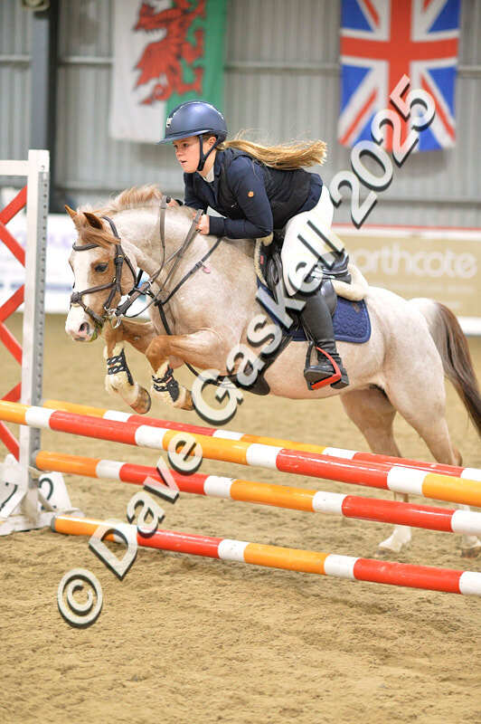 D4N_5708 - NorthcoteSun16thNov'25 Unaff.Jumping AvailableUntil16thDec'25