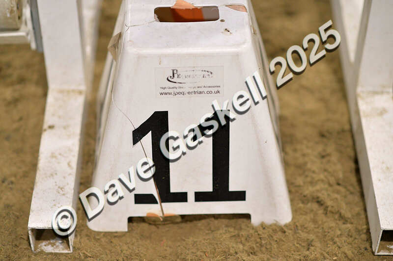 D4N_5492 - NorthcoteSun26thOct'25 Unaff.Jumping AvailableUntil28thNov'25