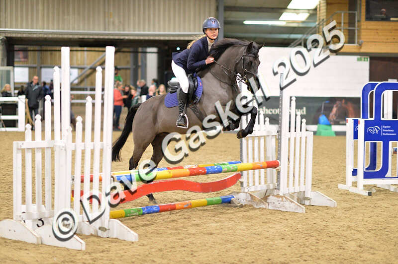 D4N_6874 - NorthcoteSat8thDec'25 XmasShowJumping AvailableUntil6thJan'26