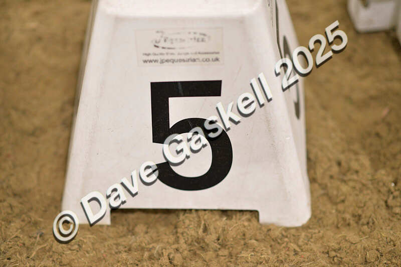 D4N_5082 - NorthcoteSun26thOct'25 Unaff.Jumping AvailableUntil28thNov'25