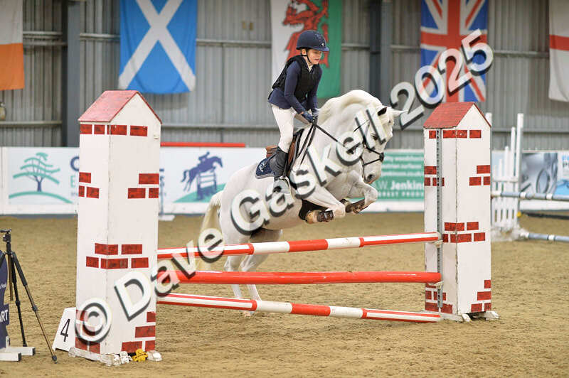 D4N_5829 - NorthcoteSun16thNov'25 Unaff.Jumping AvailableUntil16thDec'25