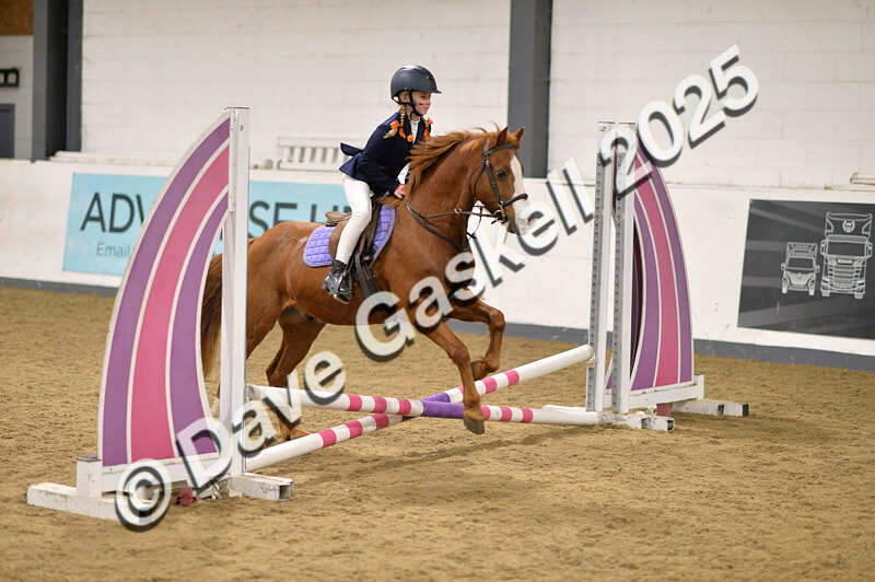 D4N_4715 - NorthcoteSun26thOct'25 Unaff.Jumping AvailableUntil28thNov'25