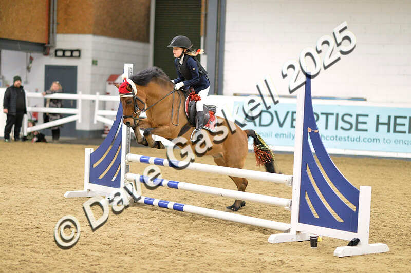 D4N_6847 - NorthcoteSat8thDec'25 XmasShowJumping AvailableUntil6thJan'26