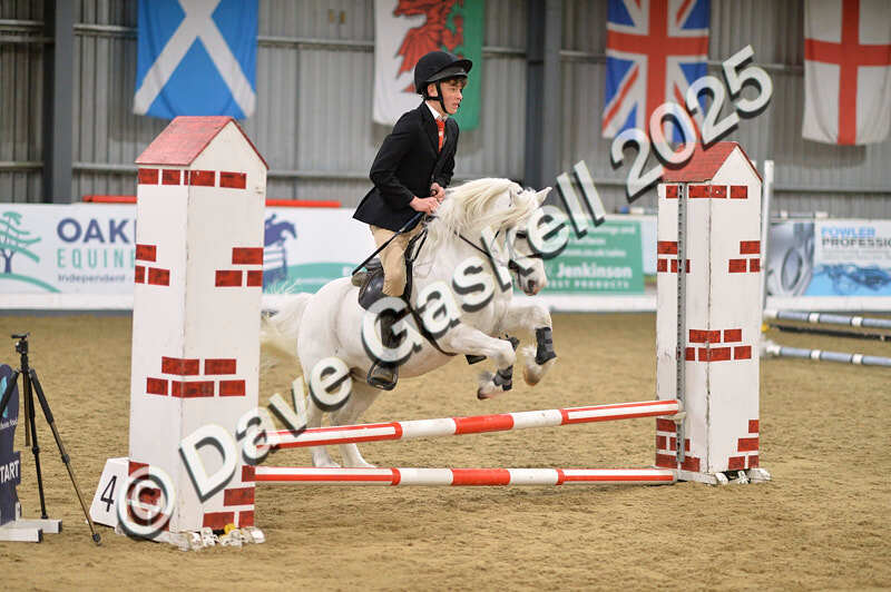 D4N_5539 - NorthcoteSun16thNov'25 Unaff.Jumping AvailableUntil16thDec'25