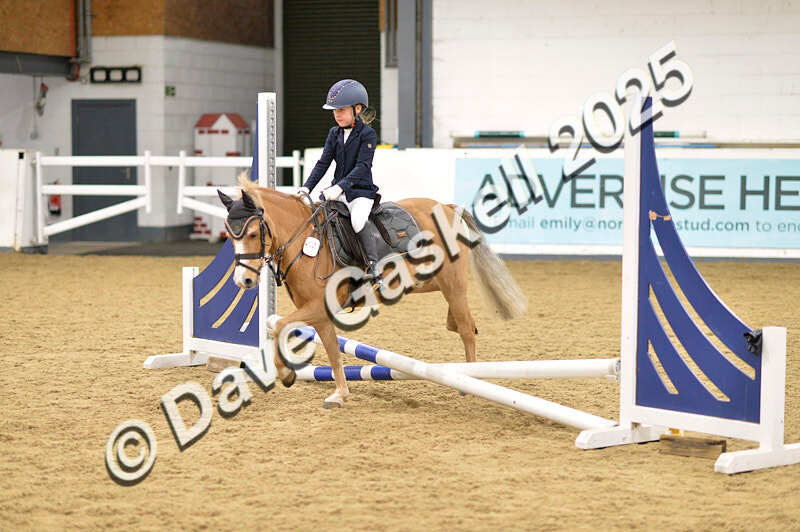 D4N_6600 - NorthcoteSat8thDec'25 XmasShowJumping AvailableUntil6thJan'26