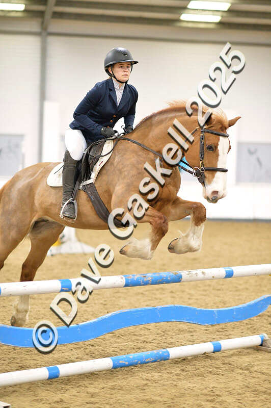 D4N_6986 - NorthcoteSat8thDec'25 XmasShowJumping AvailableUntil6thJan'26