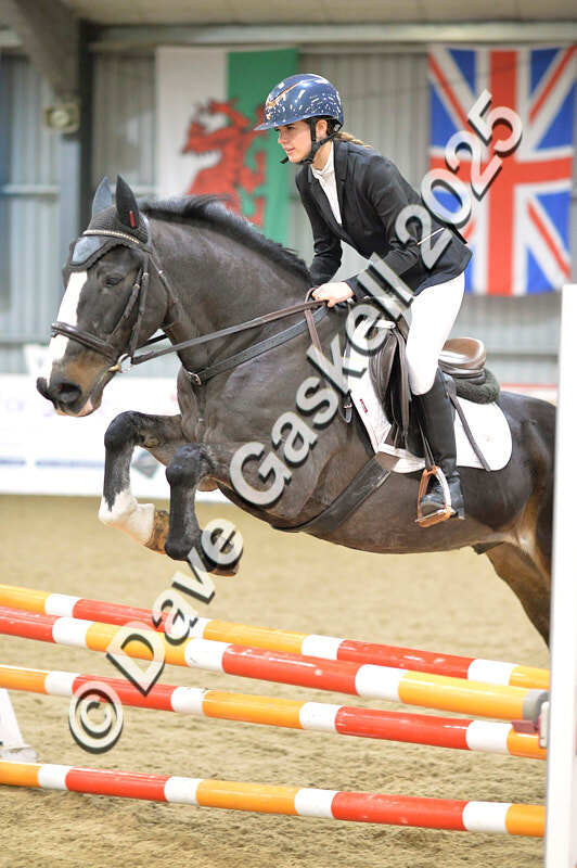 D4N_5867 - NorthcoteSun16thNov'25 Unaff.Jumping AvailableUntil16thDec'25