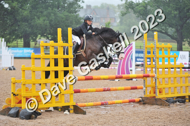 D8D_7341 - Juniors