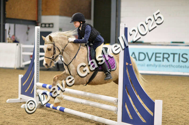 D4N_6800 - NorthcoteSat8thDec'25 XmasShowJumping AvailableUntil6thJan'26