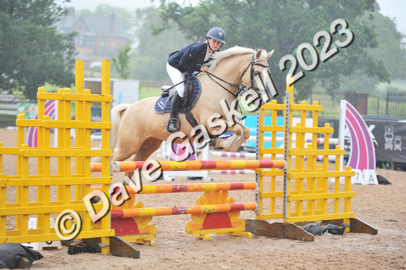 D8D_7423 - Juniors