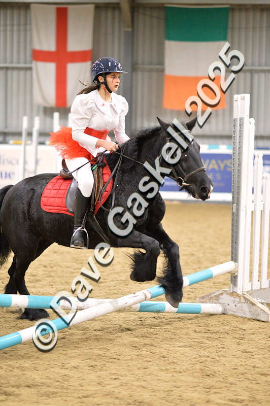 D4N_4710 - NorthcoteSun26thOct'25 Unaff.Jumping AvailableUntil28thNov'25