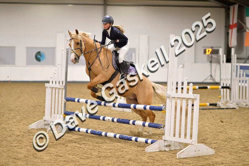 D4N_5109 - NorthcoteSun26thOct'25 Unaff.Jumping AvailableUntil28thNov'25