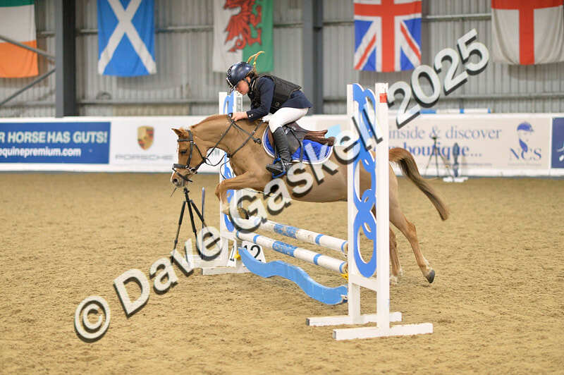 D4N_5682 - NorthcoteSun16thNov'25 Unaff.Jumping AvailableUntil16thDec'25