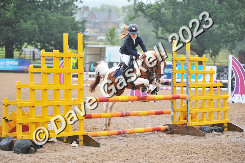 D8D_7390 - Juniors