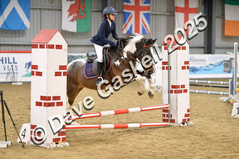 D4N_5553 - NorthcoteSun16thNov'25 Unaff.Jumping AvailableUntil16thDec'25