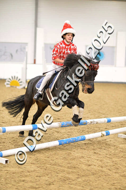 D4N_6699 - NorthcoteSat8thDec'25 XmasShowJumping AvailableUntil6thJan'26