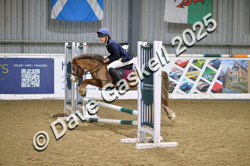 D4N_5529 - NorthcoteSun16thNov'25 Unaff.Jumping AvailableUntil16thDec'25