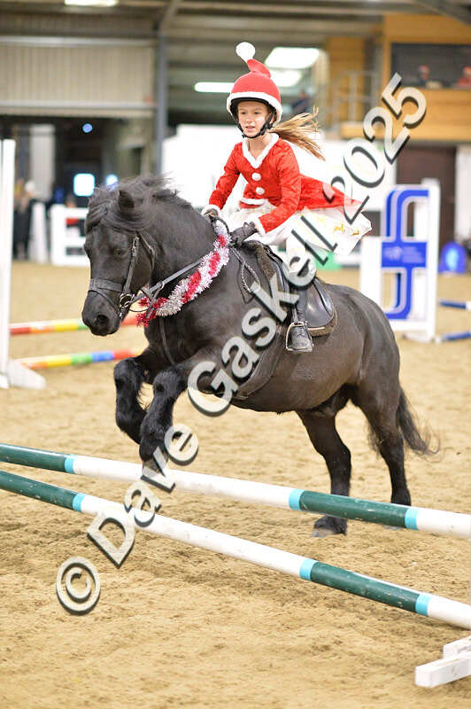 D4N_6720 - NorthcoteSat8thDec'25 XmasShowJumping AvailableUntil6thJan'26