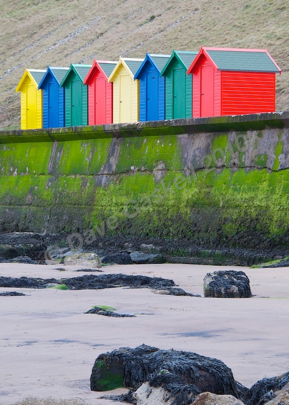 DSC_2909 - Whitby