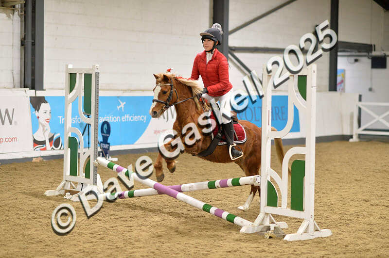 D4N_6812 - NorthcoteSat8thDec'25 XmasShowJumping AvailableUntil6thJan'26
