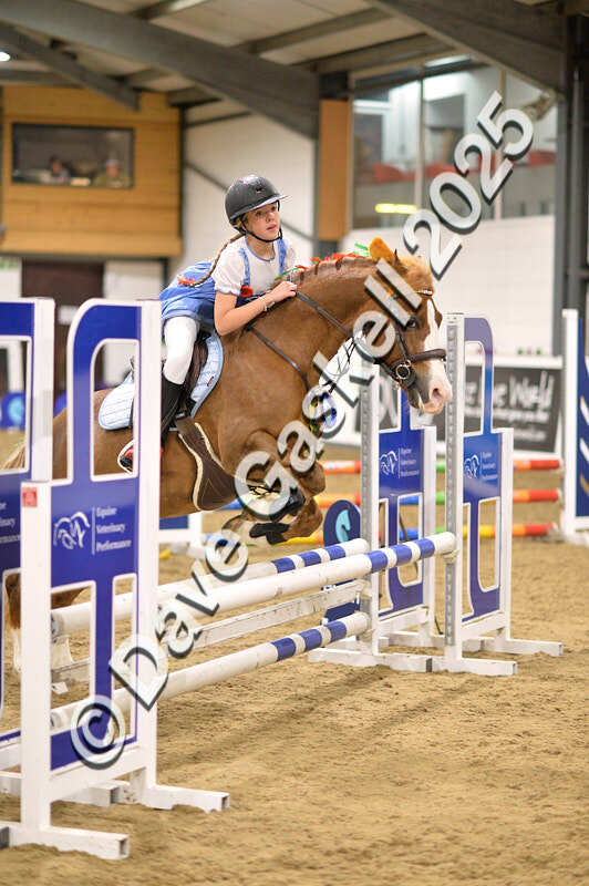 D4N_5004 - NorthcoteSun26thOct'25 Unaff.Jumping AvailableUntil28thNov'25