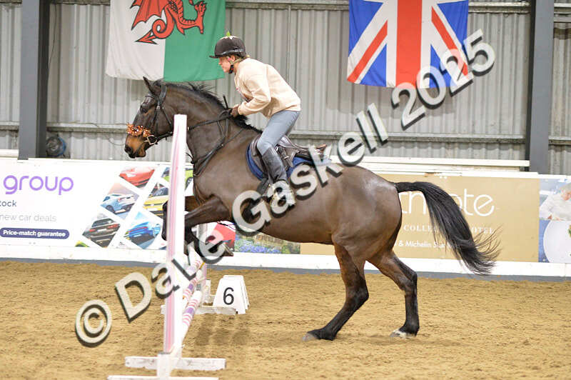 D4N_7149 - NorthcoteSat8thDec'25 XmasShowJumping AvailableUntil6thJan'26