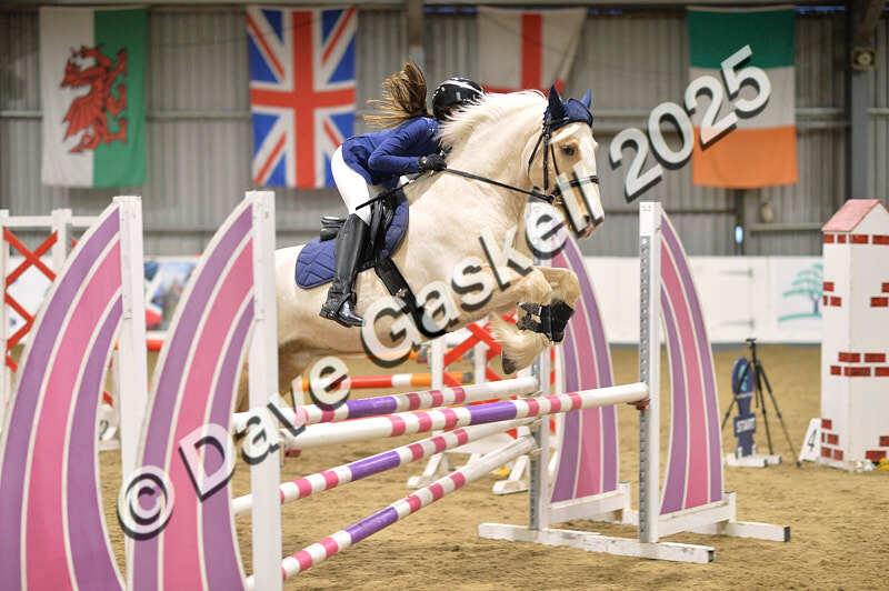 D4N_5927 - NorthcoteSun16thNov'25 Unaff.Jumping AvailableUntil16thDec'25