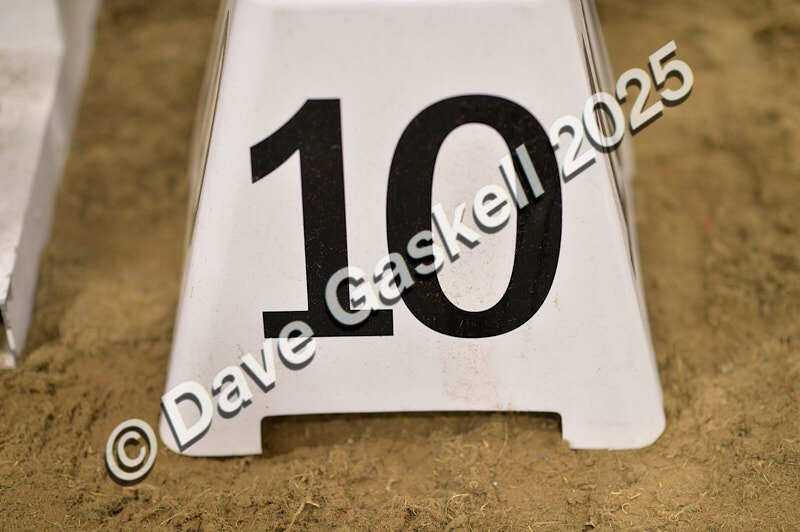 D4N_5421 - NorthcoteSun26thOct'25 Unaff.Jumping AvailableUntil28thNov'25