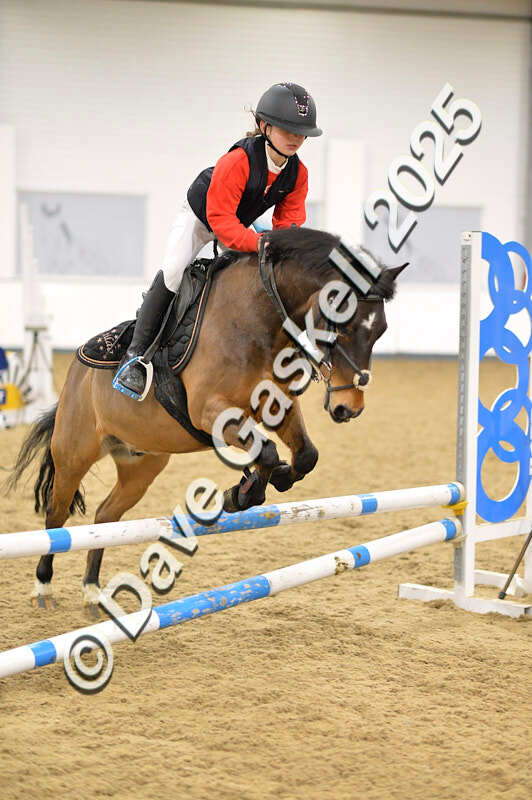 D4N_6823 - NorthcoteSat8thDec'25 XmasShowJumping AvailableUntil6thJan'26