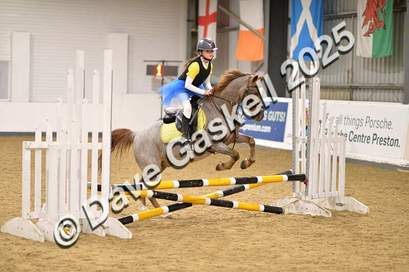 D4N_4884 - NorthcoteSun26thOct'25 Unaff.Jumping AvailableUntil28thNov'25