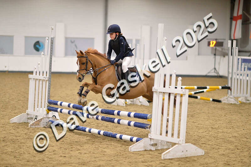 D4N_4930 - NorthcoteSun26thOct'25 Unaff.Jumping AvailableUntil28thNov'25