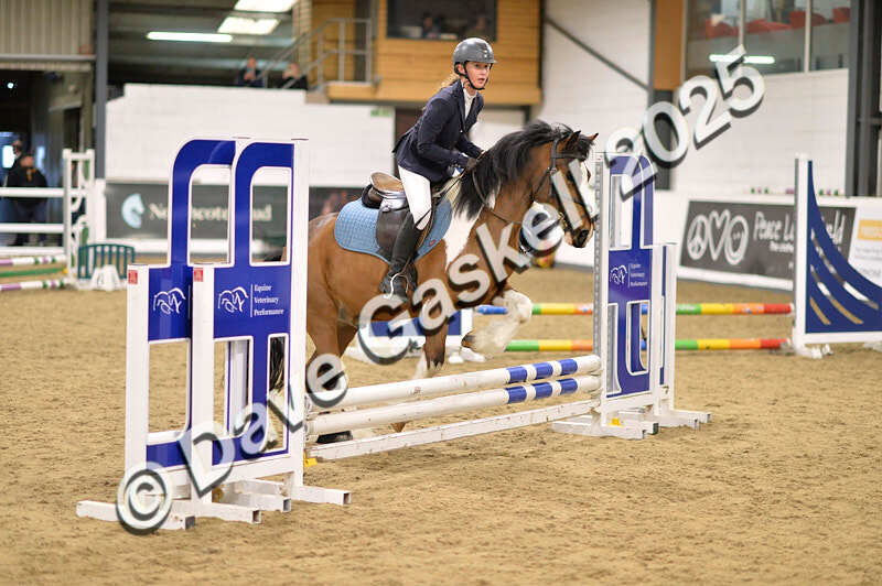 D4N_4741 - NorthcoteSun26thOct'25 Unaff.Jumping AvailableUntil28thNov'25