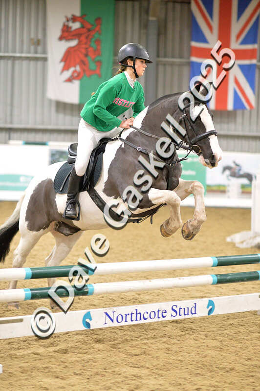 D4N_6915 - NorthcoteSat8thDec'25 XmasShowJumping AvailableUntil6thJan'26