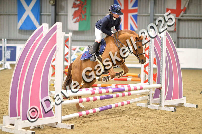 D4N_5594 - NorthcoteSun16thNov'25 Unaff.Jumping AvailableUntil16thDec'25