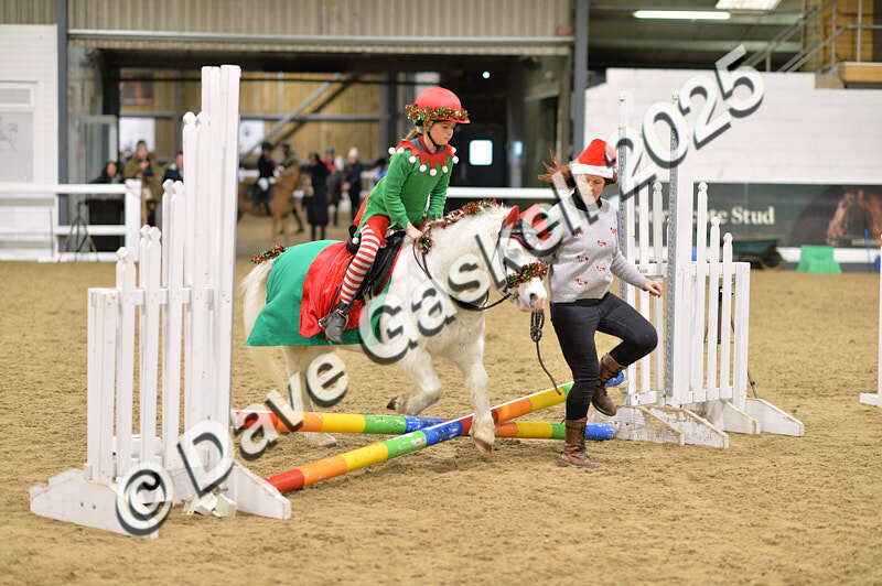 D4N_6588 - NorthcoteSat8thDec'25 XmasShowJumping AvailableUntil6thJan'26