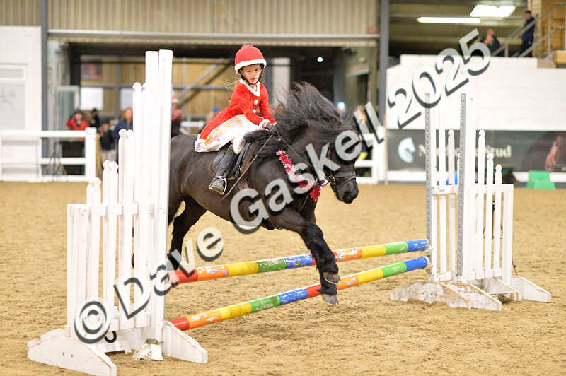 D4N_6751 - NorthcoteSat8thDec'25 XmasShowJumping AvailableUntil6thJan'26