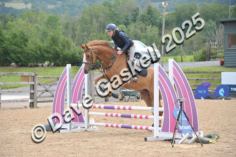 D8F_3685 - NorthcoteSat9thAug'25 Unaff.ShowJumping AvailableUntil9thSept25
